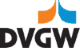DV_logo
